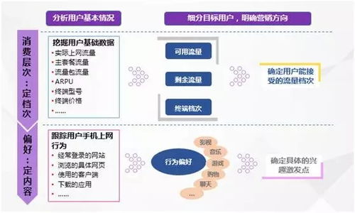 数果智能 大数据时代的精细化营销之道与实战分析